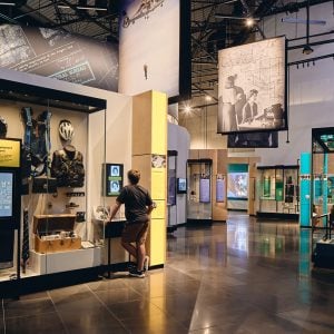 Thylacine Design and Project Management