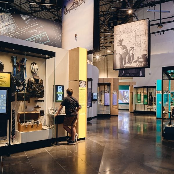 Thylacine Design and Project Management