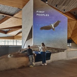 Thylacine Design and Project Management