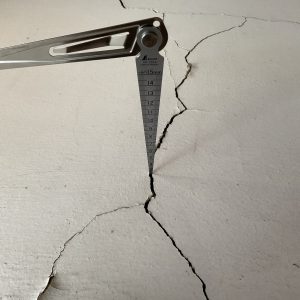 InspectVic Building & Pest Inspections