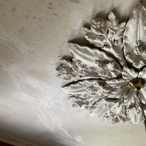 InspectVic Building & Pest Inspections