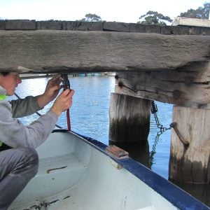 Practical Archaeology Services