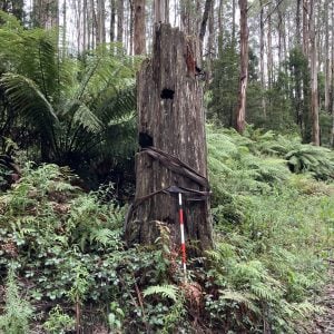 Strata Heritage Pty Ltd