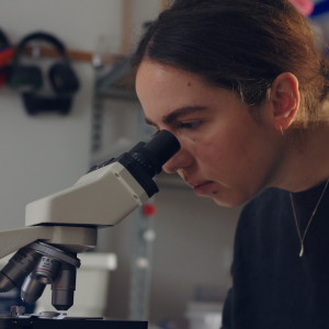 Grimwade Conservation Services – Robert Cripps Institute for Cultural Conservation